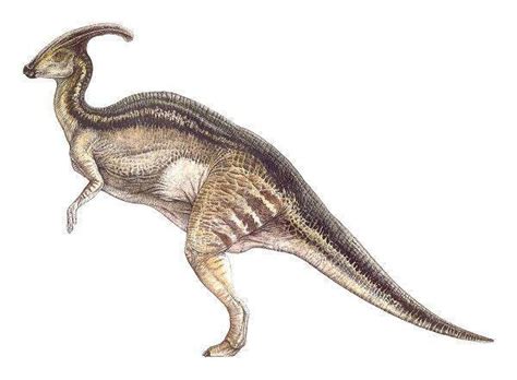 Dinosaurios herbívoros   EspacioCiencia.com