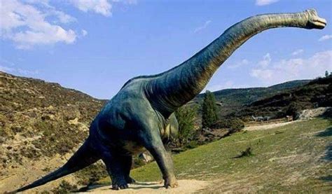 Dinosaurios herbívoros   EspacioCiencia.com