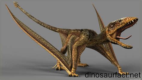 Dinosaurios, las descripciones: Dimorfodonte o Dimorphodon