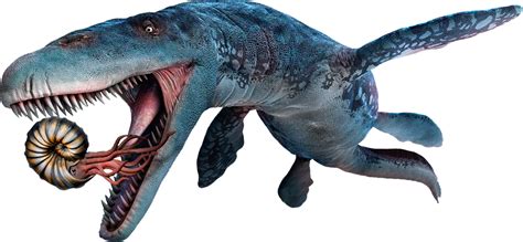 Dinosaurios marinos de juguete y peces prehistorícos ...