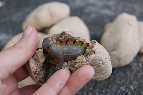 Dinosaurios para niños, cómo hacer piedras fósiles   Pequeocio