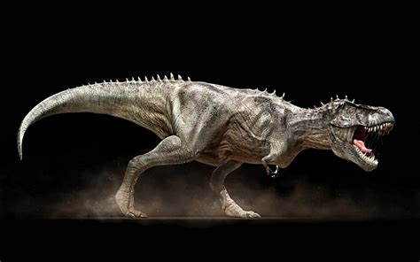 dinosaurios Tyrannosaurus Rex fondos de pantalla gratis