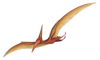 Dinosaurios voladores con plumas más grandes y carnívoros