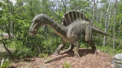 Dinosaurs Alive   YouTube