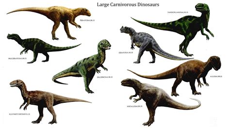 Dinosaurs for KS1 and KS2 children | Dinosaurs homework ...