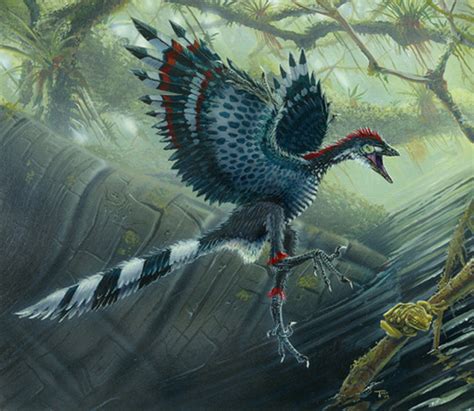 Dinosaurs images Archaeopteryx wallpaper and background ...