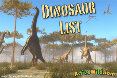 Dinosaurs Names And Pictures | www.pixshark.com   Images ...