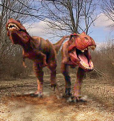 Dinosaurs pictures real |Funny Animal