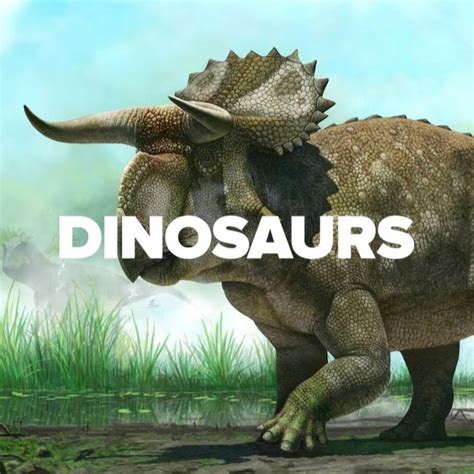 Dinosaurs   YouTube