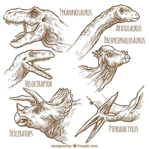 Dinozaur Wektory, Zdjęcia i Pliki PSD | Darmowe pobieranie