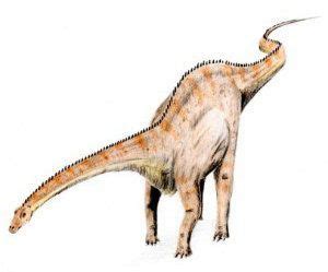 Diplodocus, información de este gigantesco dinosaurio