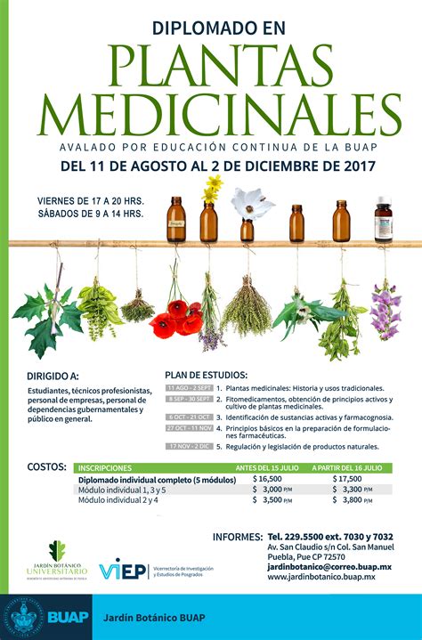 Diplomado en plantas medicinales