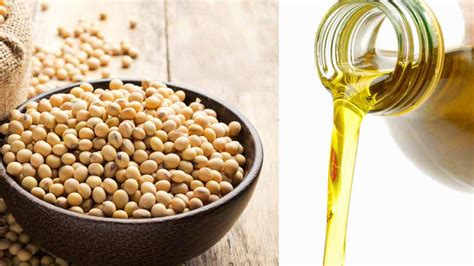 Discover the health benefits of Soya Oil! — Features — The ...