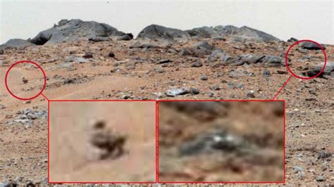 Discovery Of a Duck And 2nd Lizard On Mars, NASA Curiosity ...