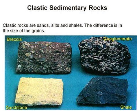 Discuss on Clastic Sedimentary Rocks   Assignment Point