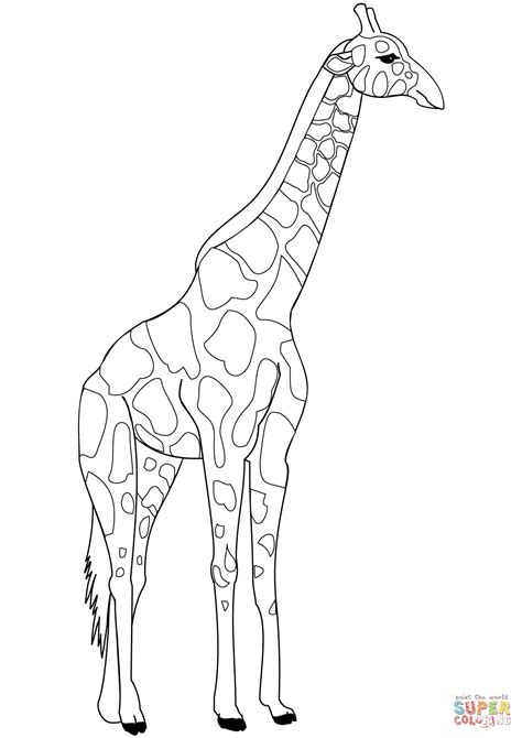 Disegno di Giraffa da colorare | Disegni da colorare e ...