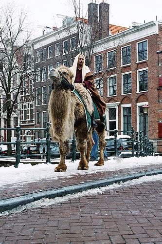 Disfruta del invierno en Holanda | Holanda Por Descubrir