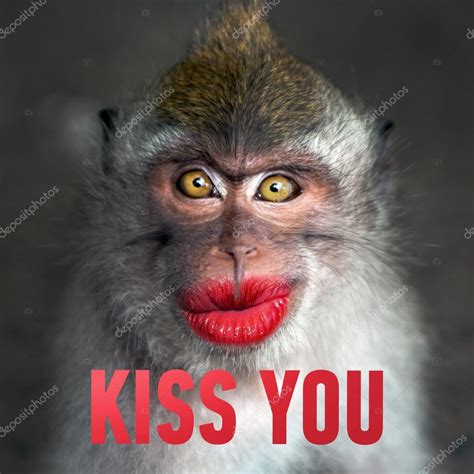 Divertido mono con una labios rojos — Foto de Stock ...