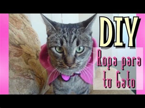 DIY Ropa para Gato   YouTube