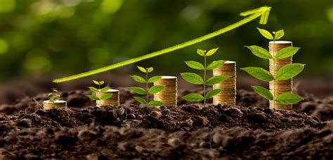 Do socially responsible investments give good returns ...