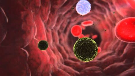 DOCTORS SAÚDE   Nanotecnologia en la Medicina   YouTube