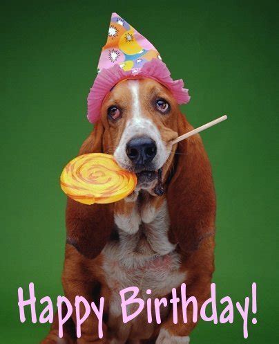Dog Wishes Happy Birthday Funny Image