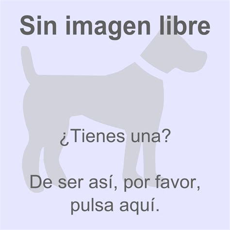 Dogo español   Wikipedia, la enciclopedia libre