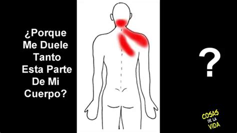 Dolor de cuello o cervicales ¿Qué puede ser?