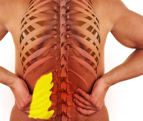 Dolor de espalda baja lado izquierdo | Health | Pinterest