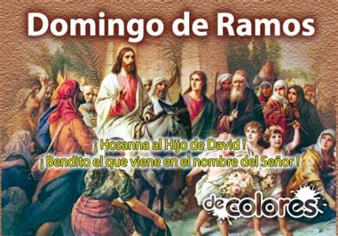 Domingo de Ramos | MCC Santa Fe   Acceso
