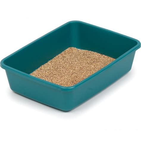 ¿Dónde saber colocar la caja de arena para gatos?