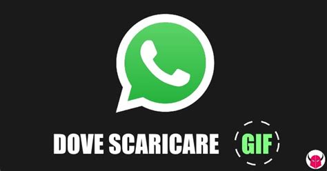 Dove Scaricare GIF per WhatsApp   WordSmart.it