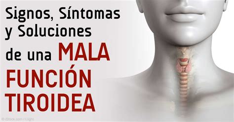 Dr. Tiroides Managua: Tiroides y Estrés