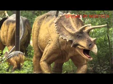 ¿Dragones o Dinosaurios?  2ª parte    YouTube
