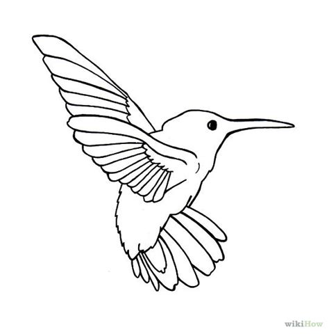 Draw Hummingbirds | Simple bird drawing, Bird outline and ...