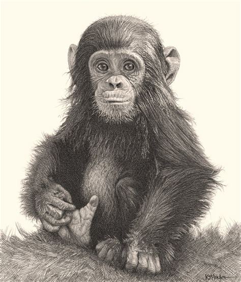 drawing amimals with pencil | incredibly realistic pencil ...