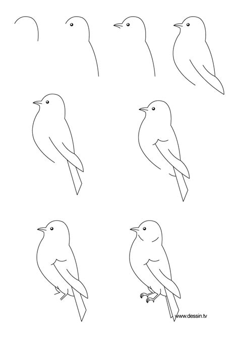 Drawing bird