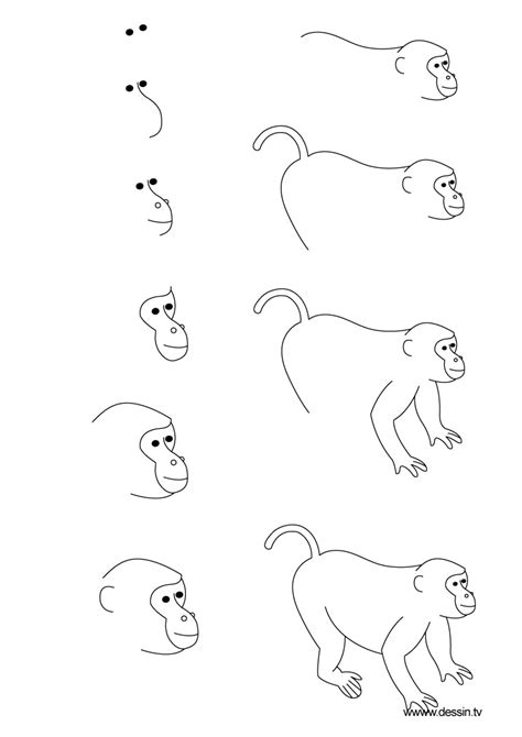 Drawing monkey