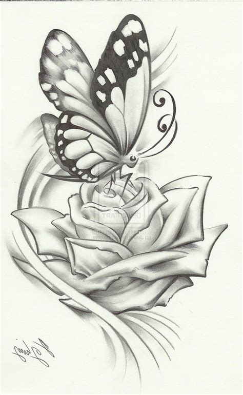 Drawings Of Butterflies On Flowers | www.imgkid.com   The ...