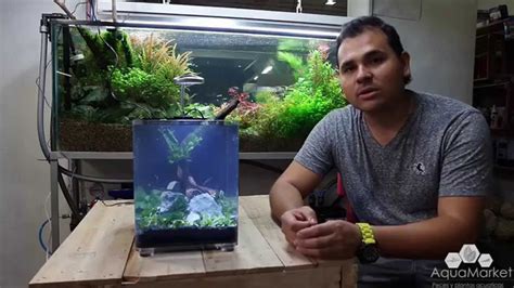 Dymax IQ5  Unboxing Montaje de nano acuario plantado   YouTube