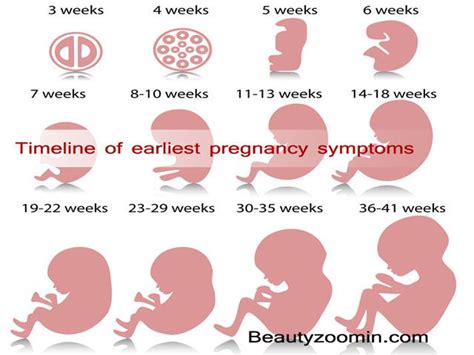 Earlier Pregnancy Symptoms Two Weeks | Johny Fit