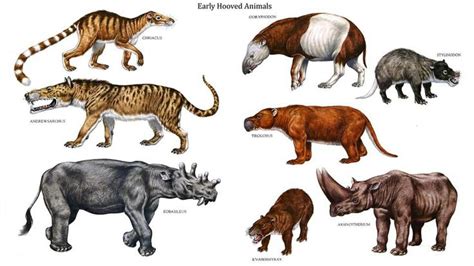 Early Hoofed Animals | Paleontology!