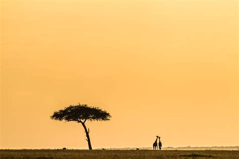 East African Landscapes | Asilia Africa