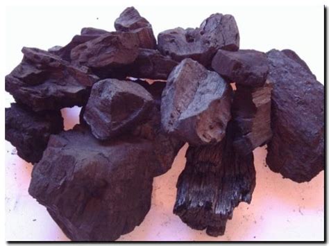 ECOLOGÍA: El carbón vegetal podría detener el cambio ...
