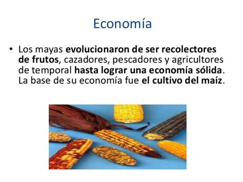 Economía maya