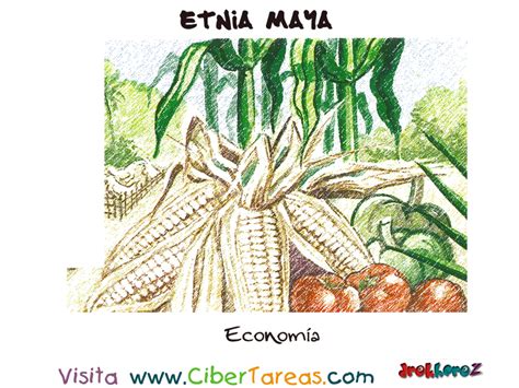 Economía – Etnia Maya | CiberTareas