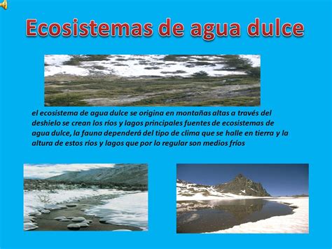 Ecosistemas de agua dulce   ppt video online descargar