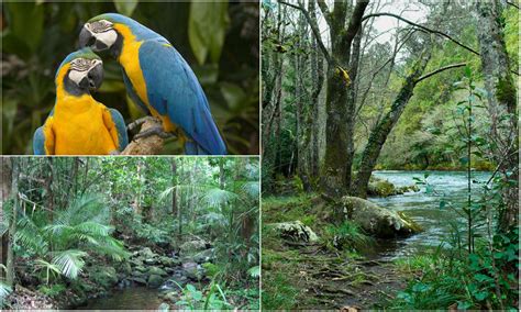 Ecosistemas de Colombia.   Tierra Colombiana