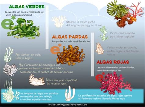 Ecosistemas marinos o oceánicos de agua salada | OVACEN