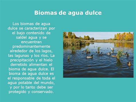 Ecosistemas,biomas terrestres y acuáticos   ppt descargar
